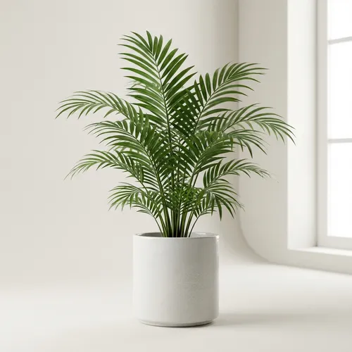 Parlor Palm