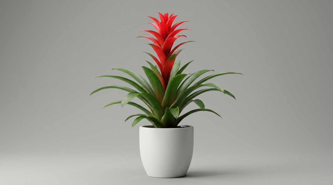 Bromeliad Mastery: Tropical Brilliance in Your Home