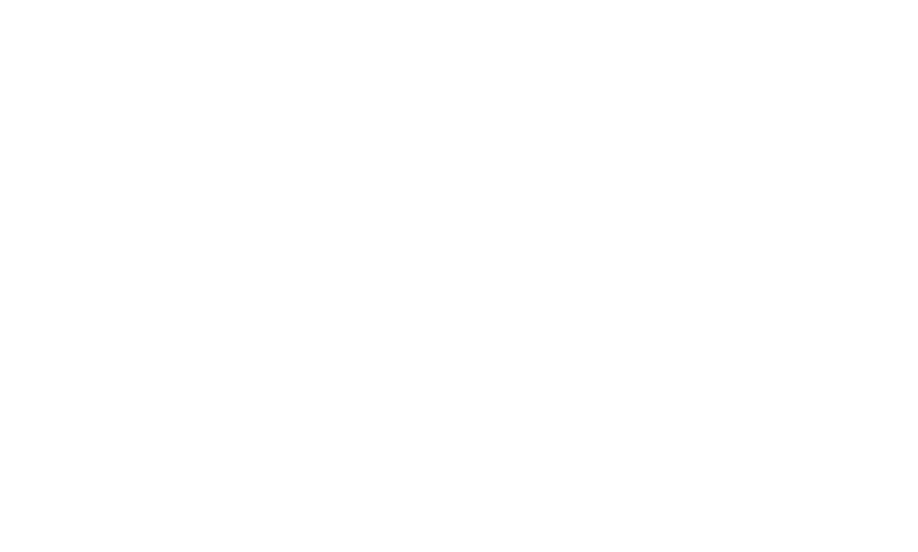 Ferns & Focus