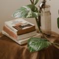 Creating a Tranquil Green Nook with Low-Light Houseplants