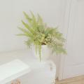 Creating Minimalist Fern Displays for Small Spaces