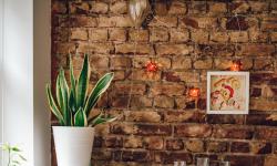 Featured image of post Declutter with Green: Using Plants to Create Calm and Organize Your Living Space