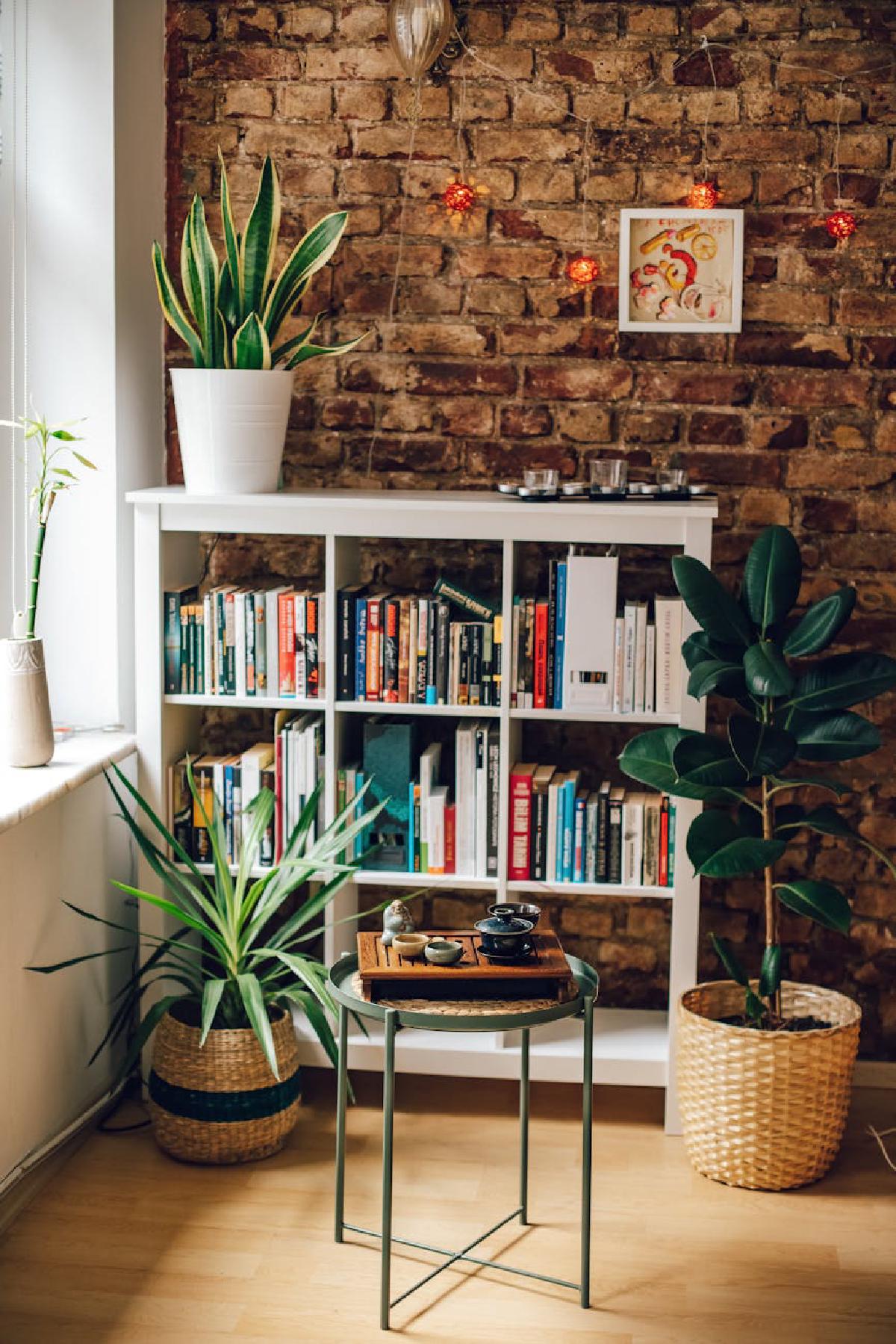 Featured image of post Declutter with Green: Using Plants to Create Calm and Organize Your Living Space