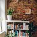 Declutter with Green: Using Plants to Create Calm and Organize Your Living Space