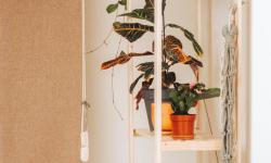 Featured image of post Elevating Your Space: The Art of Incorporating Vertical Gardens