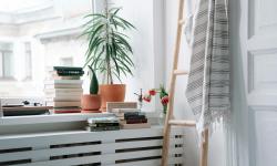 Featured image of post Gentle Light: Restoring Low‑Light Houseplant Care with Seasonal Adjustments