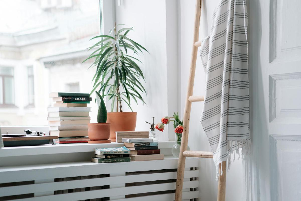 Featured image of post Gentle Light: Restoring Low‑Light Houseplant Care with Seasonal Adjustments
