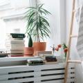 Gentle Light: Restoring Low‑Light Houseplant Care with Seasonal Adjustments