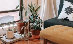 Featured image of post Incorporating Plants into Your Meditation Space for Calm Reflection