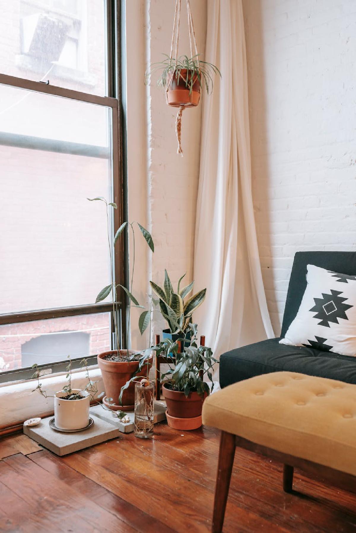 Featured image of post Incorporating Plants into Your Meditation Space for Calm Reflection