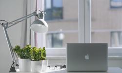 Featured image of post Integrating Air‑Purifying Plants in Home Workspaces for Focus and Calm