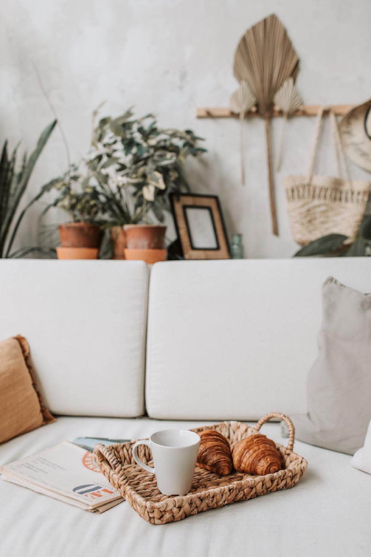 Featured image of post Natural Textures and Materials: Enhancing Your Plant Space for Sensory Calm