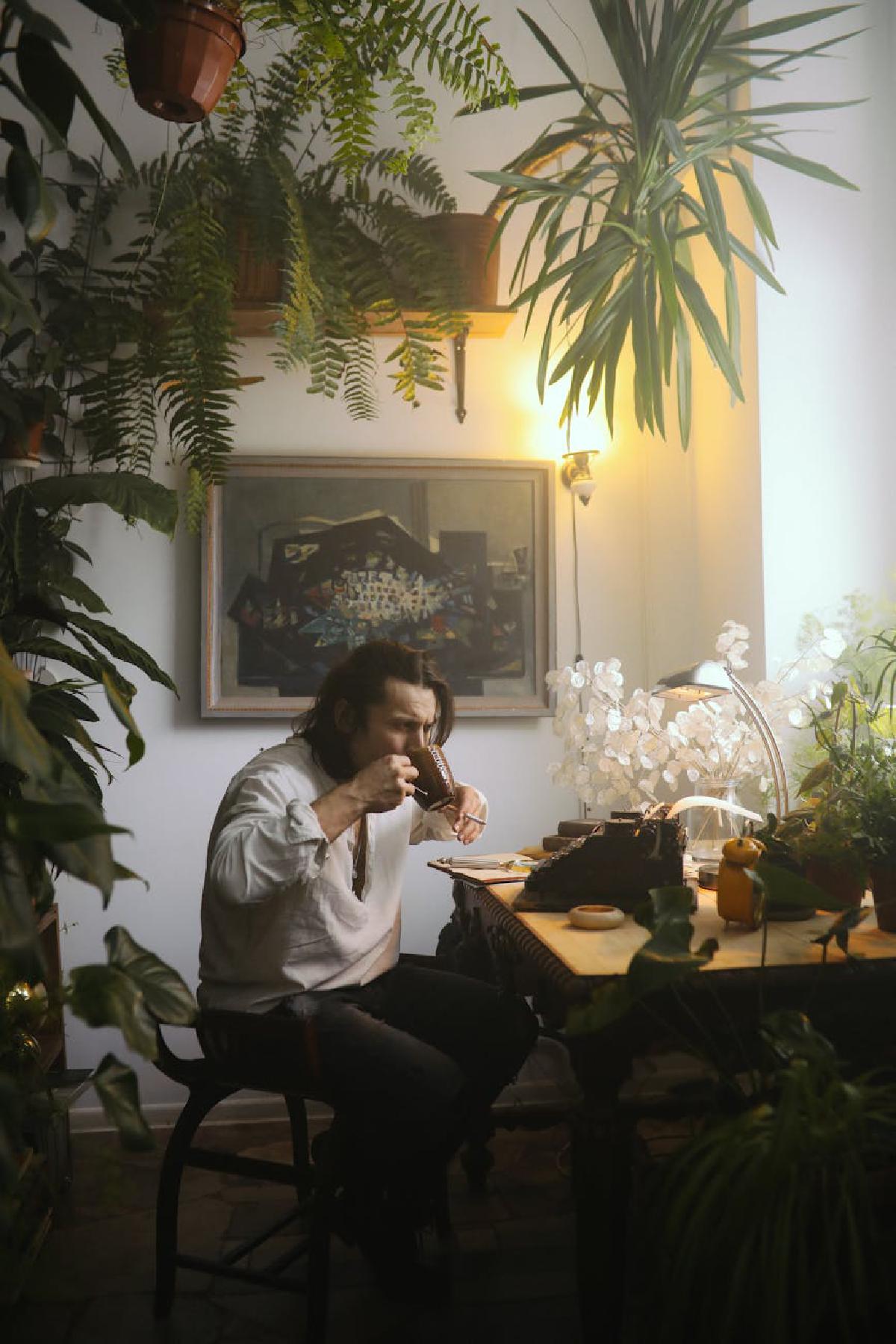 Featured image of post Nature-Inspired Practices for Daily Stress Relief with Houseplants