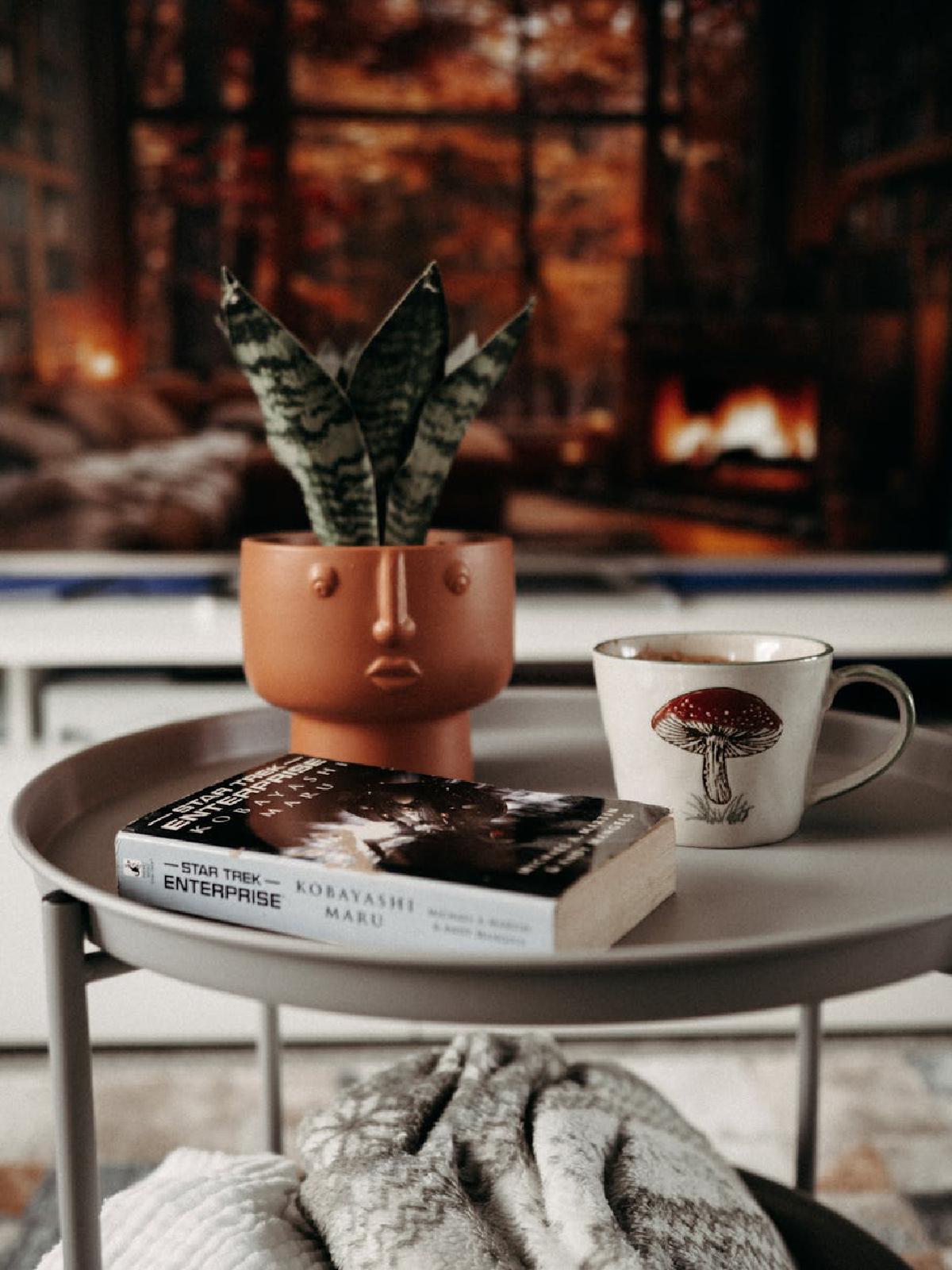 Featured image of post Night-Friendly Houseplants: Cultivating a Restorative Evening Green Routine