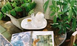 Featured image of post Quiet Space, Rich Soil: Creating a Personal Plant Sanctuary for Mindful Reflection