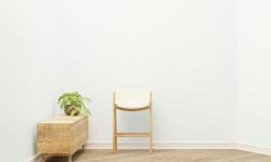 Featured image of post Resilient Plants for Busy Lives: Low‑Maintenance Choices for Stress‑Free Care