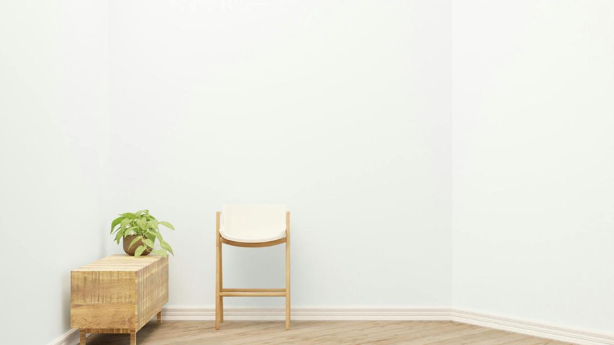 Featured image of post Resilient Plants for Busy Lives: Low‑Maintenance Choices for Stress‑Free Care