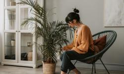 Featured image of post Responsive Plant Care: Recognizing Signs of Stress and Adjusting Your Routine