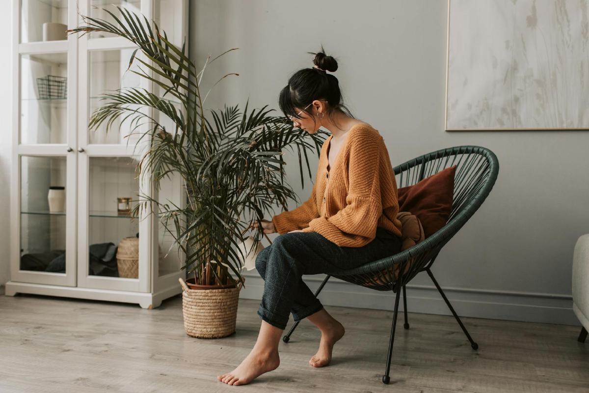 Featured image of post Responsive Plant Care: Recognizing Signs of Stress and Adjusting Your Routine