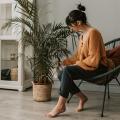 Responsive Plant Care: Recognizing Signs of Stress and Adjusting Your Routine