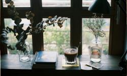 Featured image of post Seasonal Self-Care with Houseplants: Aligning Your Routine with Nature’s Rhythms