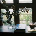 Seasonal Self-Care with Houseplants: Aligning Your Routine with Nature’s Rhythms