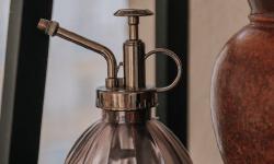 Featured image of post Seasonally Reset Your Plant Space: Creating Rhythms for Inner Balance