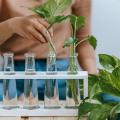 Small-Scale Propagation Hacks for Growing Your Indoor Jungle