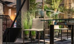 Featured image of post Troubleshooting Yellowing Leaves: Identify the Cause, Restore the Plant