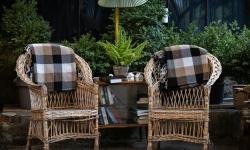 Featured image of post Using Houseplants to Create a Soft, Cozy Nighttime Routine